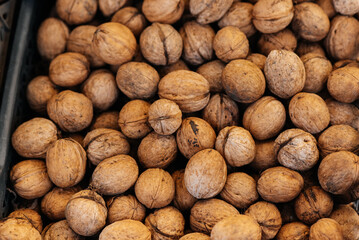 Boxes of ripe walnuts harvested from trees. Agriculture, nuts. Natural and environmentally friendly agriculture.