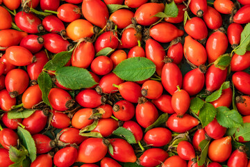 Rosehip berry natural background