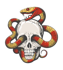 Human Skull and Tropical Snake Tattoo