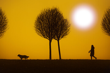silueata figures and a dog that runs at sunset