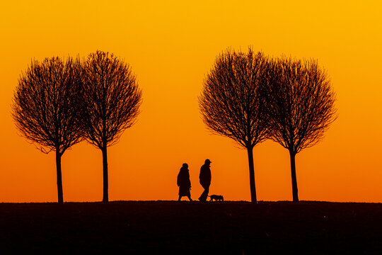 silhouette of a figure with a stroller walking along the road, a dog running away and a pedestrian walking opposite,