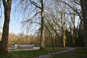 Parc de Sceaux en hiver. France