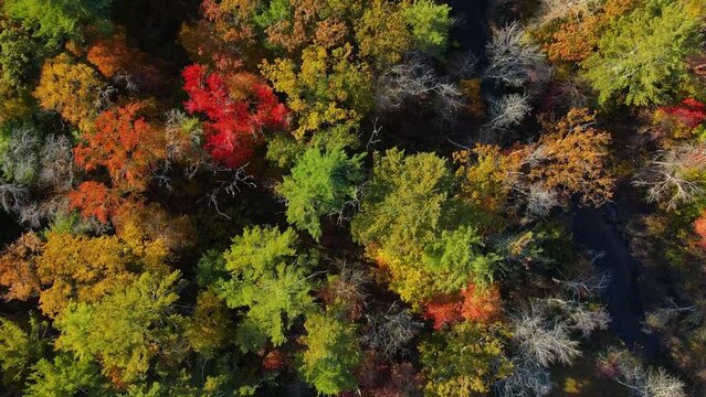 Furnace Brook top view with fall foliage in town of Kingston, Massachusetts MA, USA. 