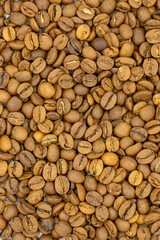 Coffee beans background. Close up of roasted coffee beans