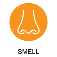 Human anatomy flat nose icon, smell health organ vector illustration, face part sign