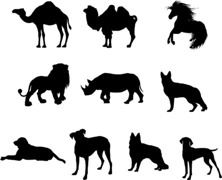 Set of Animals silhouette