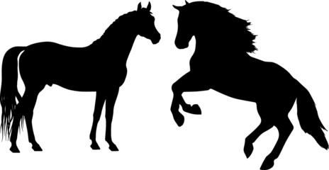 Horse animals Silhouette 