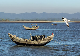 boat on the river