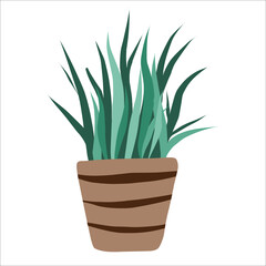Vector illustration of a flower, a plant growing in a pot. A house plant . The icon is a potted houseplant. Isolated on a white background