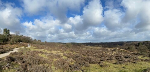 Panorama from National Park Veluwezoom