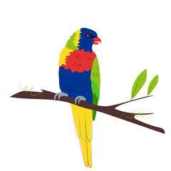 Rainbow Lorikeet is sitting on a branch. An exotic parrot bird. Vector illustration in a hand-drawn style isolated on a white background