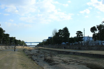 Fototapeta na wymiar 日本の街中を流れる川の風景　兵庫県芦屋市芦屋川の松並木