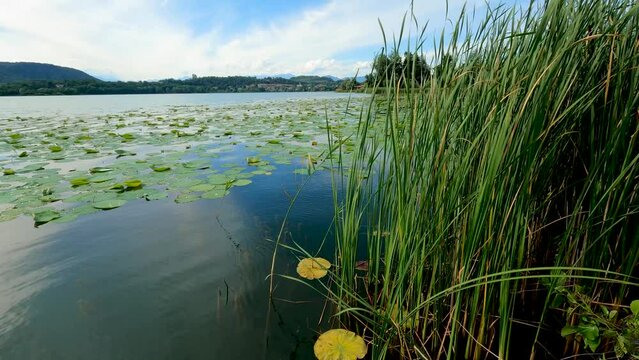  Spring Landscape on Lake Corgeno.