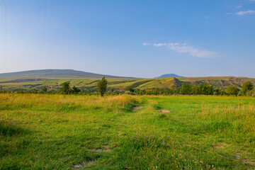 Obraz premium very beautiful plain overgrown with grassy vegetation