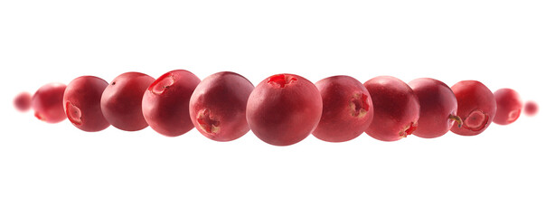 Red cranberry berries levitate on a white background
