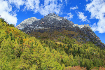 Mount  Siguniang Sichuan China
