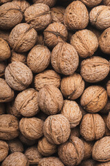 Natural walnuts in shells, can be used as a background. Top view, flat lay.