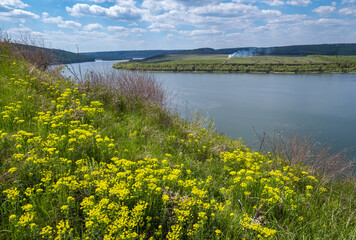 Amazing spring view on the Dnister River Canyon, Bakota Bay, Chernivtsi region, Ukraine.
