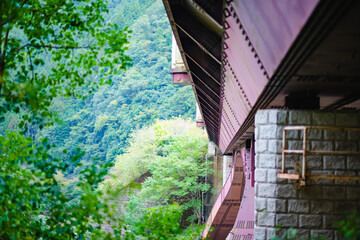 bridge over the river
