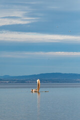Skulptur im Bodensee