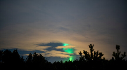 Aurora borealis through the clouds in the forest