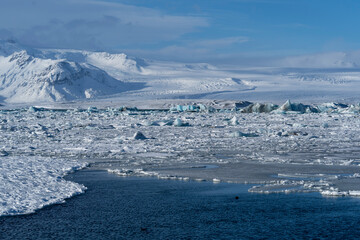 Glacier and icebergs in polar region