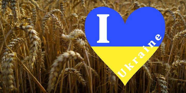 Ukraine War, Peace, Wheat Agriculture, United Nations, Flag, Peace Dove, Hearts.
