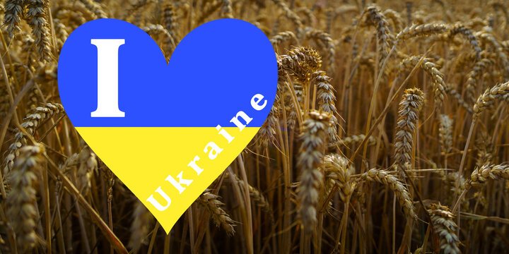 Ukraine War, Peace, Wheat Agriculture, United Nations, Flag, Peace Dove, Hearts.