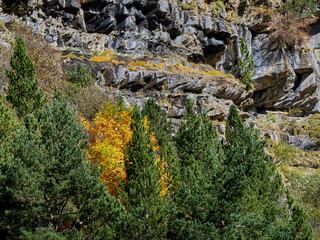 Views on the hiking trail in Ordesa National Park, Spain.