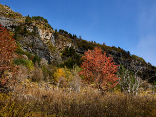 Fototapeta na wymiar Views on the hiking trail in Ordesa National Park, Spain.