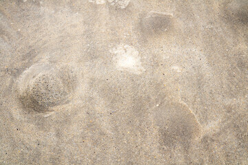 Bubbles in the sand showing that the tide is coming in