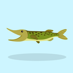 Pike fish character cartoon isolated
