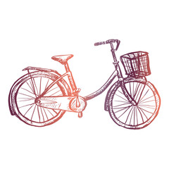 Fototapeta na wymiar Bicycle basket hand drawing illustration