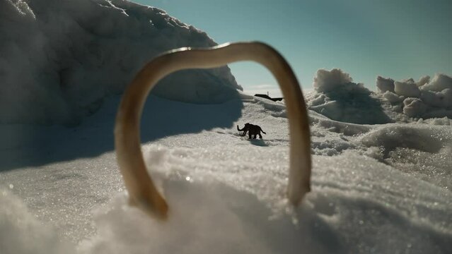 Woolly mammoth in a cold snowy landscape. Snowy landscape and mammoth.