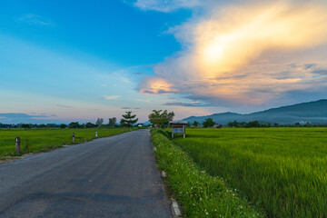 Fototapeta na wymiar A rural road stretches between green rice fields on both sides in the evening of Chiang Rai, Thailand.