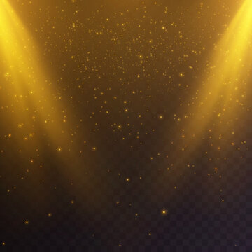 Vector transparent falling sunlight special lens, flare light effect. Vector blur in a glow of light with many twinkling golden fireflies.