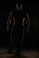 Fototapeta na wymiar Topless in studio, silhouette
