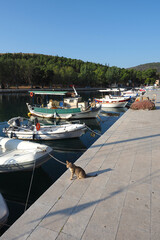 Fototapeta na wymiar Beautiful small port of picturesque village of Galaxidi, Fokida, Greece