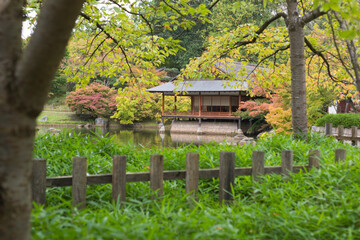 japanese garden with house