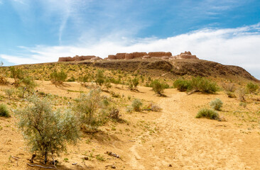 Fototapeta na wymiar View at the Ayaz Kala desert castle in the Kyzylkum Desert in Northern Uzbekistan, Central Asia