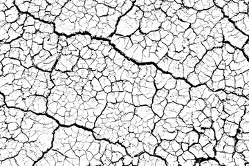 Close up of summer. Patterns and texture cracked soil of sunny dried earth soil, Drought of the ground. Dried cracked earth soil ground black and white color