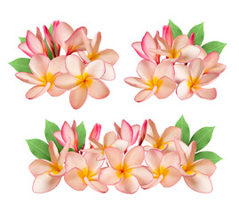 Fototapeta na wymiar Pink Plumeria flower or frangipani flower isolated white background