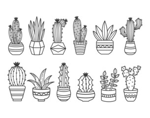 Set of potted house plants on a white background. Succulents in pots. Isolated potted plants. Set of Cactus plants. Cactus and other succulents on a white background.