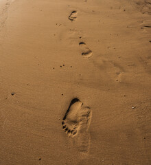 Footprints on the sandy beach by the sea.