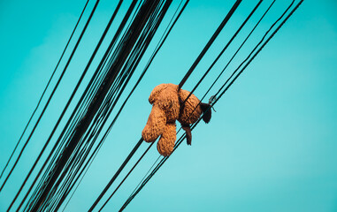 Teddy bear lying on the electric cord.