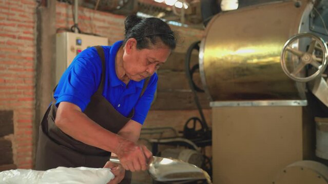 Senior woman scooping raw coffee beans filling up a bucket to weighing. Asian women 74 years old working in a factory. coffee roaster process, industrial, worker