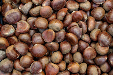 Sweet chestnut