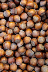 Hazelnuts close up