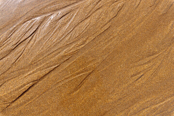 Wet Sand Beach Background