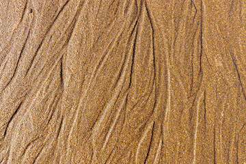 Wet Sand Beach Background